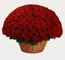 Премиум букет из: Розы в Воздвиженке Приморский край